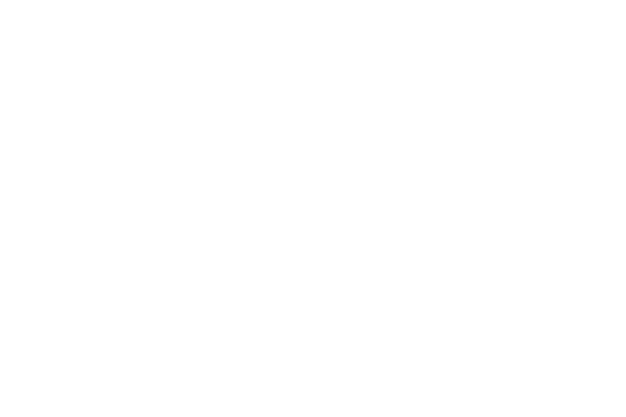 DGN Haustechnik in Bernau Kontakt Logo